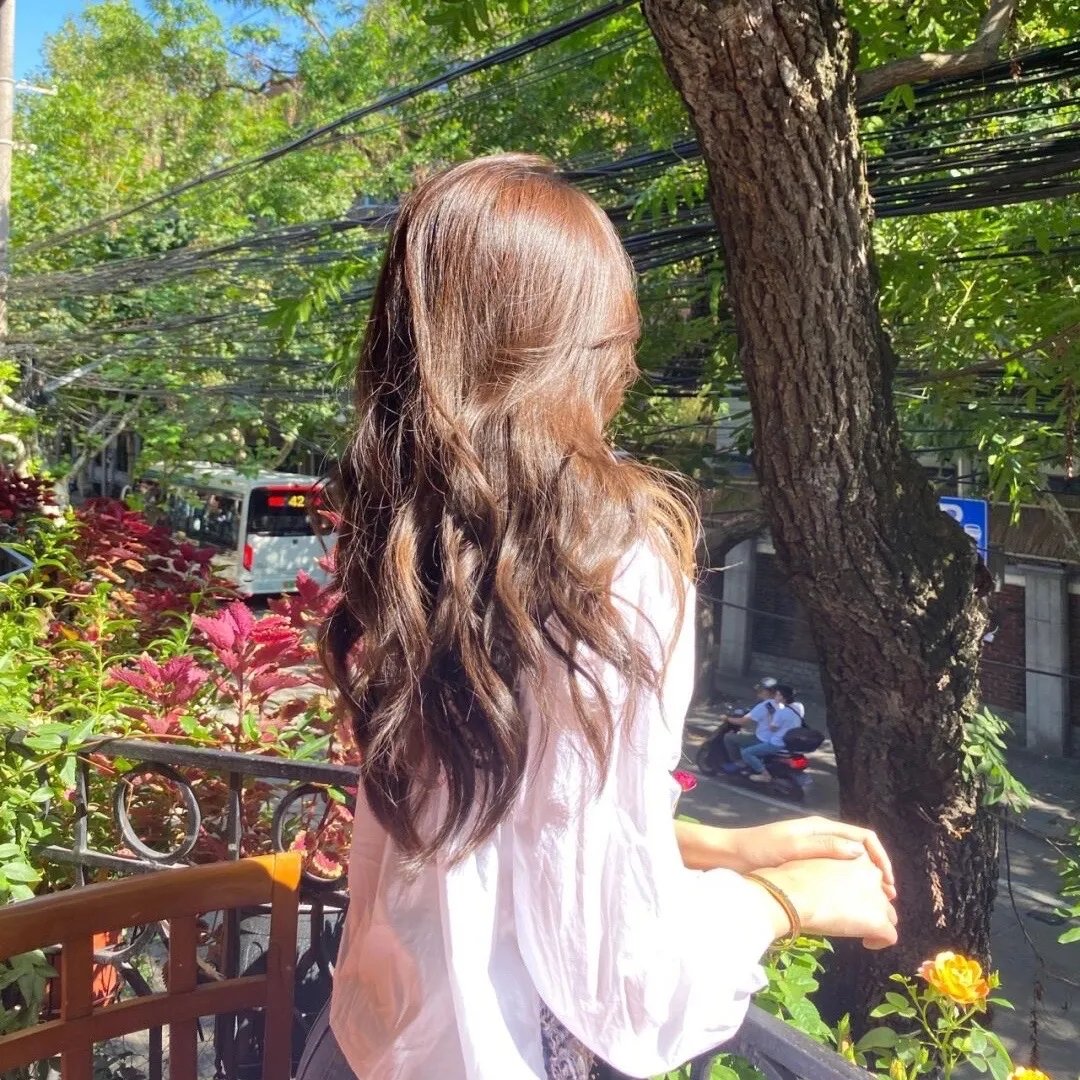 狐妖小红娘月红篇